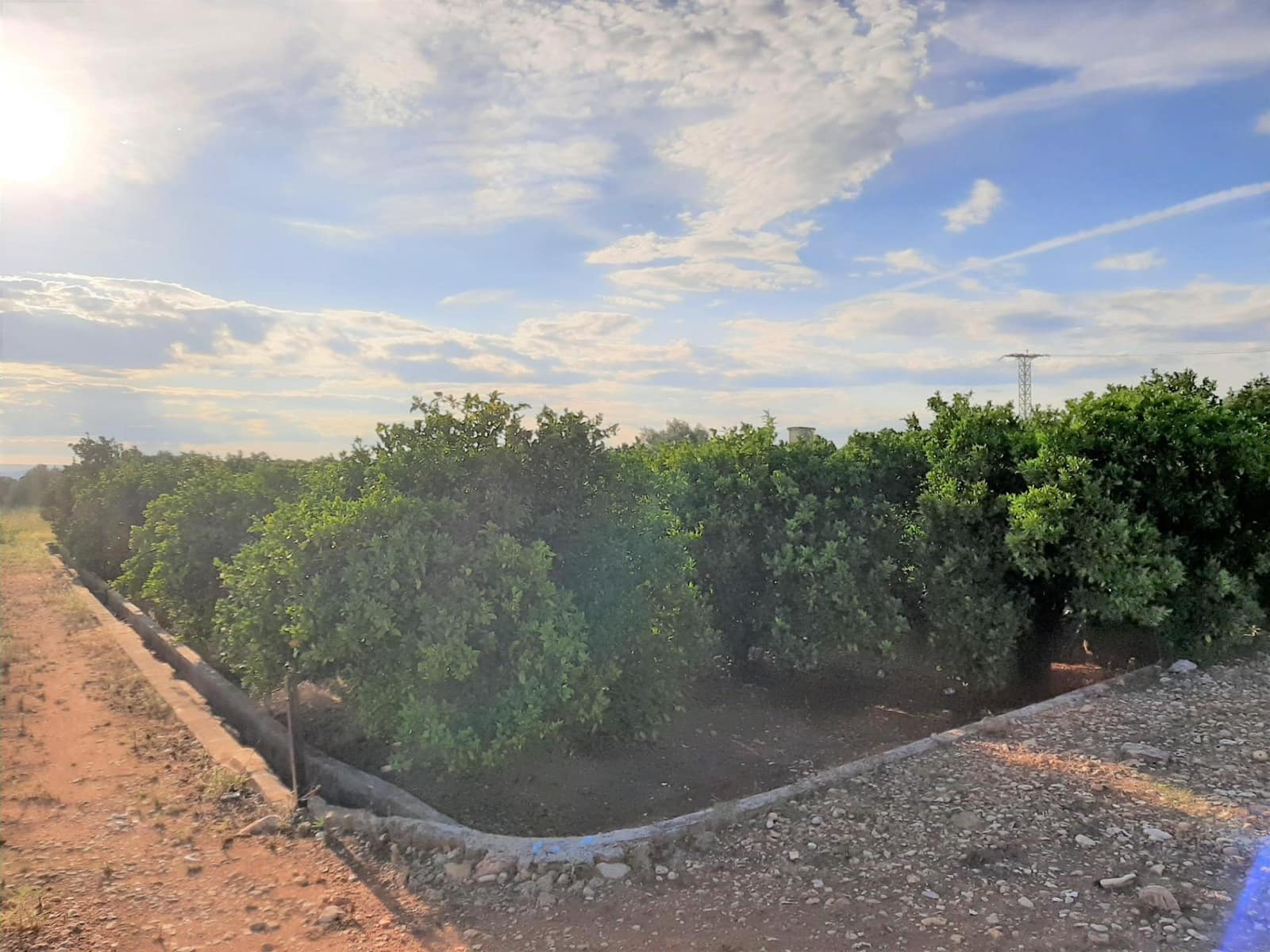 Grond te koop in Carcaixent - € 8.000 (Ref: 7733656)