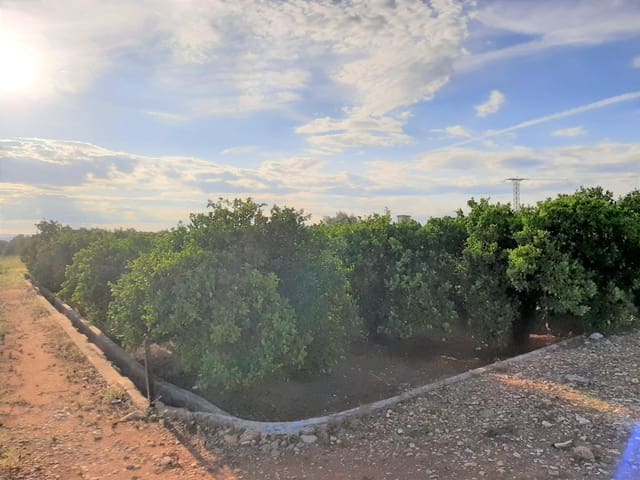 Grunde uden byggetilladelser til salg i Carcaixent - € 8.000 (Ref: 7733656)