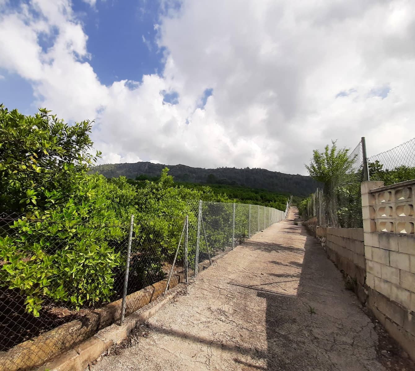 Grunde uden byggetilladelser til salg i Alzira - € 90.000 (Ref: 7733658)