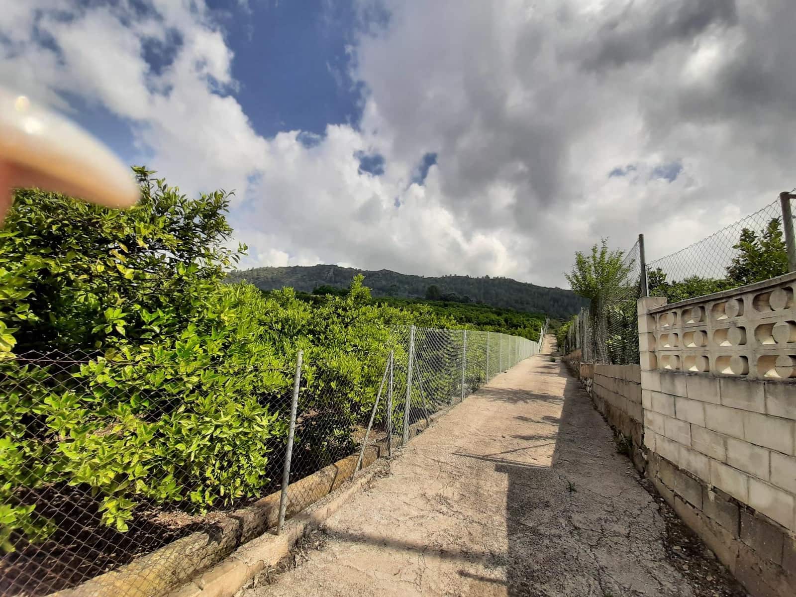 Grunde uden byggetilladelser til salg i Alzira - € 90.000 (Ref: 7733658)