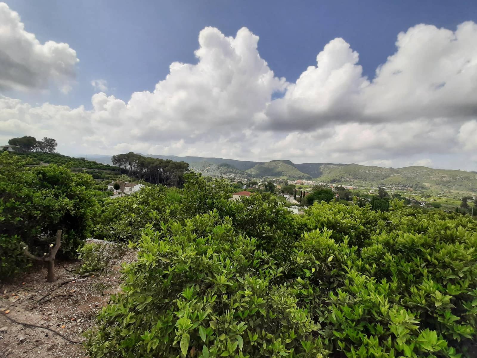 Grunde uden byggetilladelser til salg i Alzira - € 90.000 (Ref: 7733658)