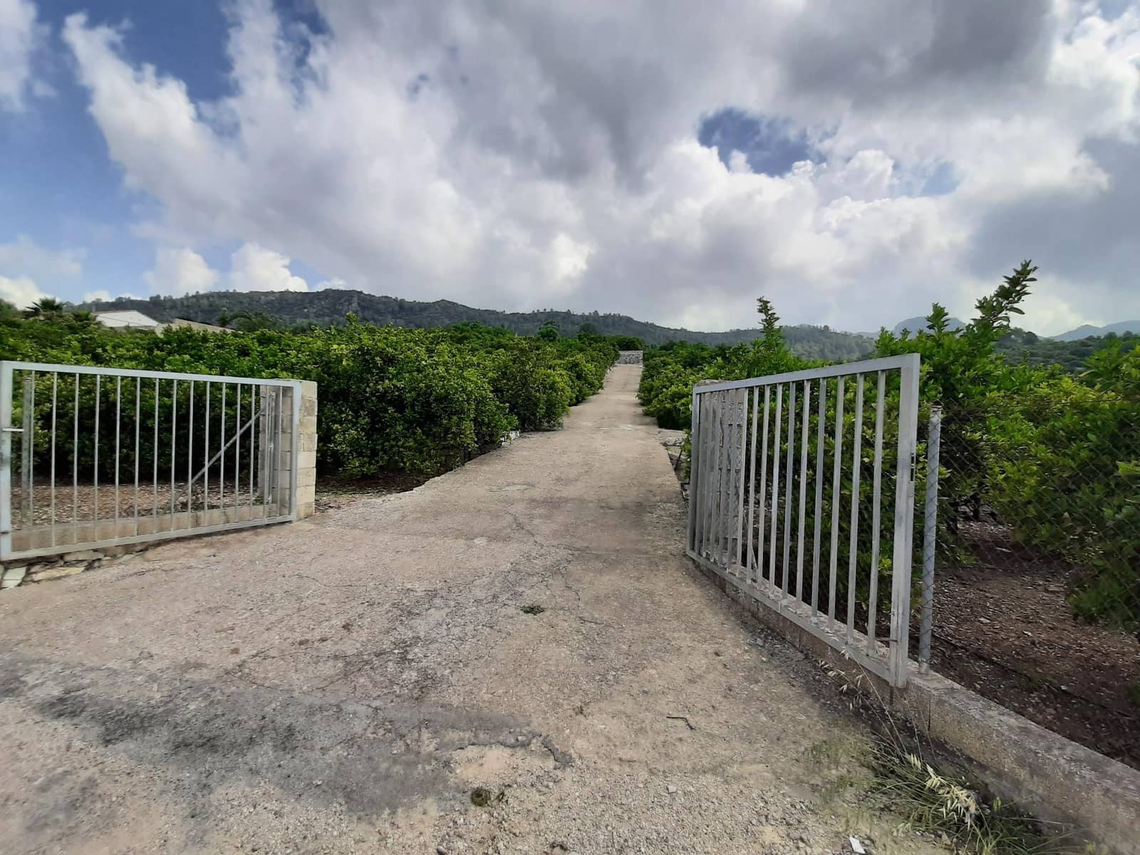 Grunde uden byggetilladelser til salg i Alzira - € 90.000 (Ref: 7733658)