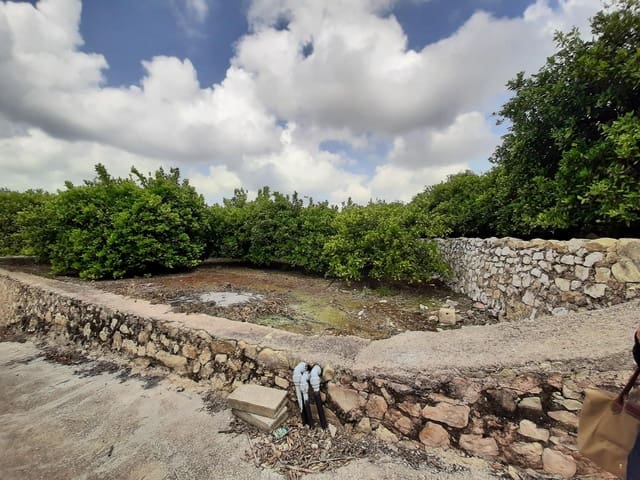 Undeveloped Land for sale in Alzira - € 90,000 (Ref: 7733658)