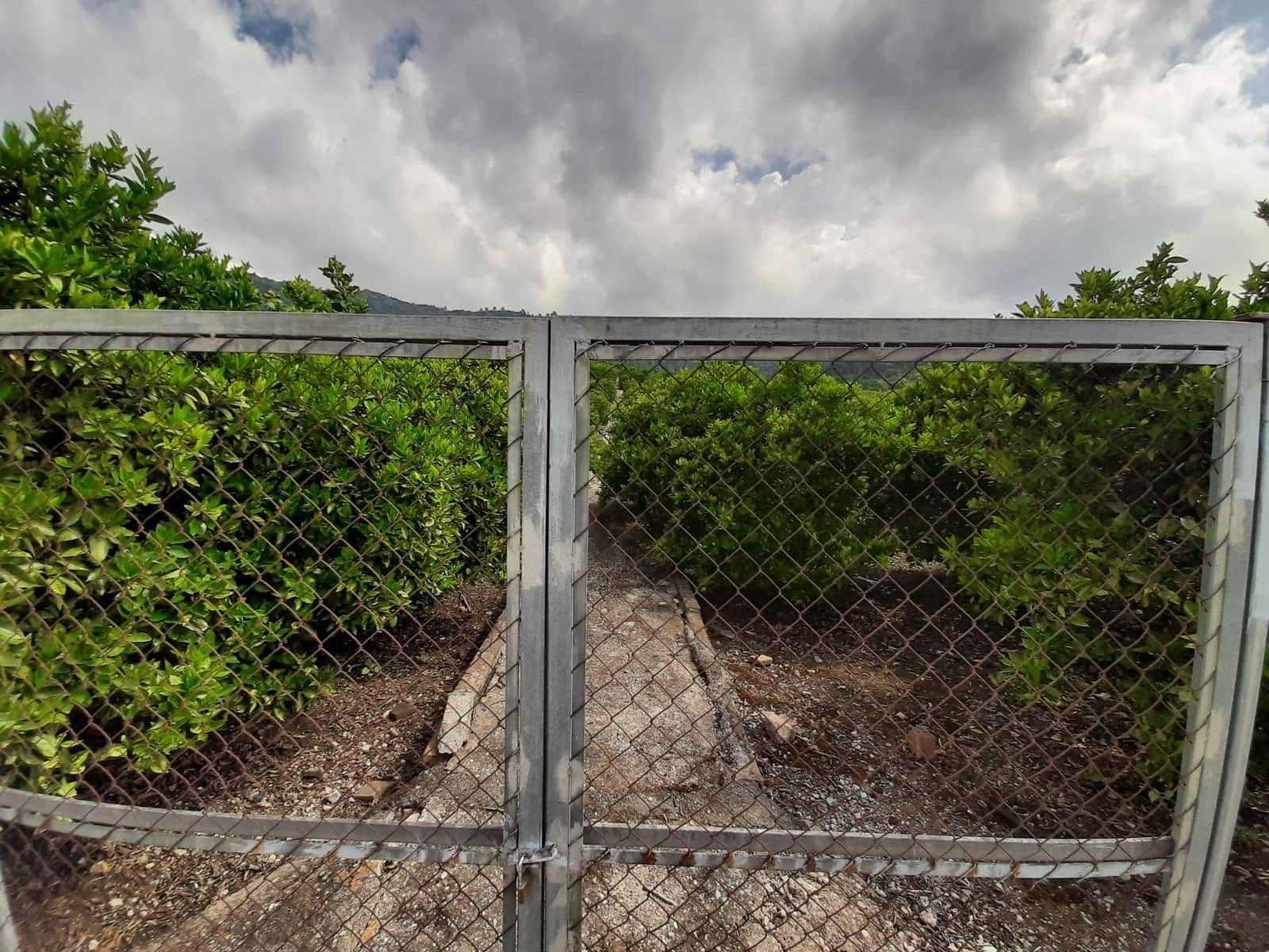 Grunde uden byggetilladelser til salg i Alzira - € 90.000 (Ref: 7733658)