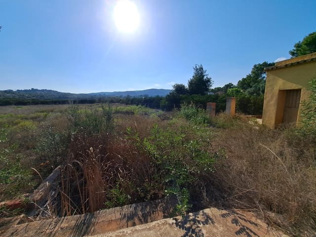 Terreno/Finca Rústica en Alberic en venta - 50.000 € (Ref: 7798383)
