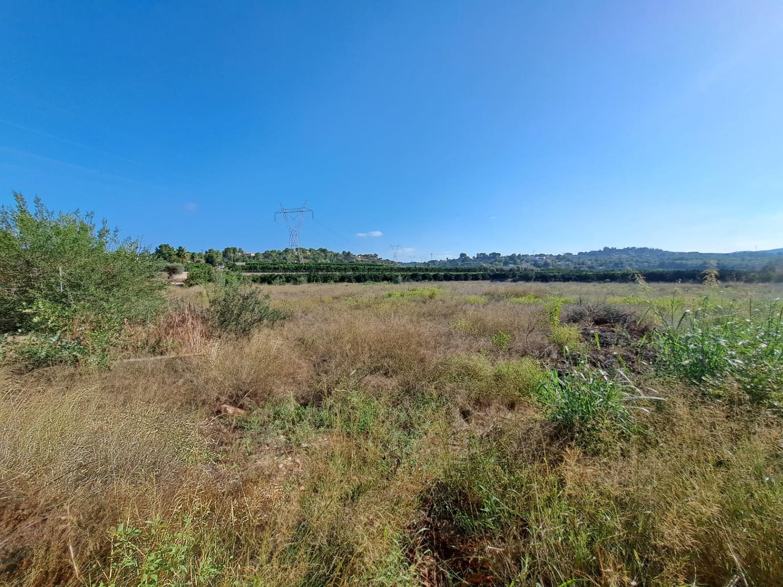 Grunde uden byggetilladelser til salg i Alberic - € 50.000 (Ref: 7798383)