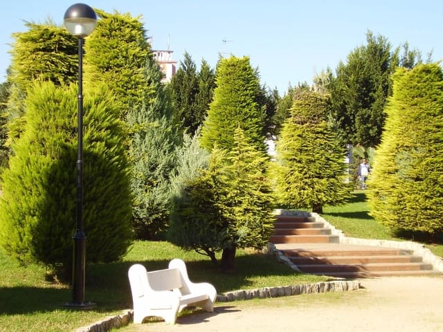 Local Comercial en Alzira en venta - 100.000 € (Ref: 7998531)