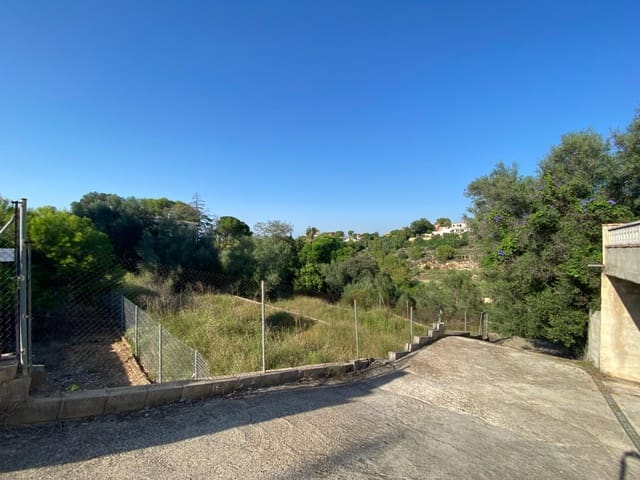 Solar/Parcela en Alzira en venta - 100.000 € (Ref: 8129968)