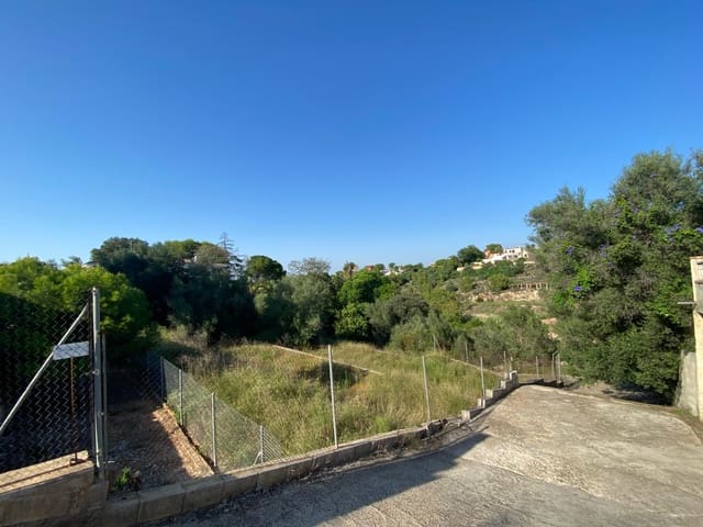 Solar/Parcela en Alzira en venta - 100.000 € (Ref: 8129968)