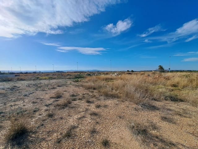 Solar/Parcela en Alzira en venta - 442.000 € (Ref: 8194131)