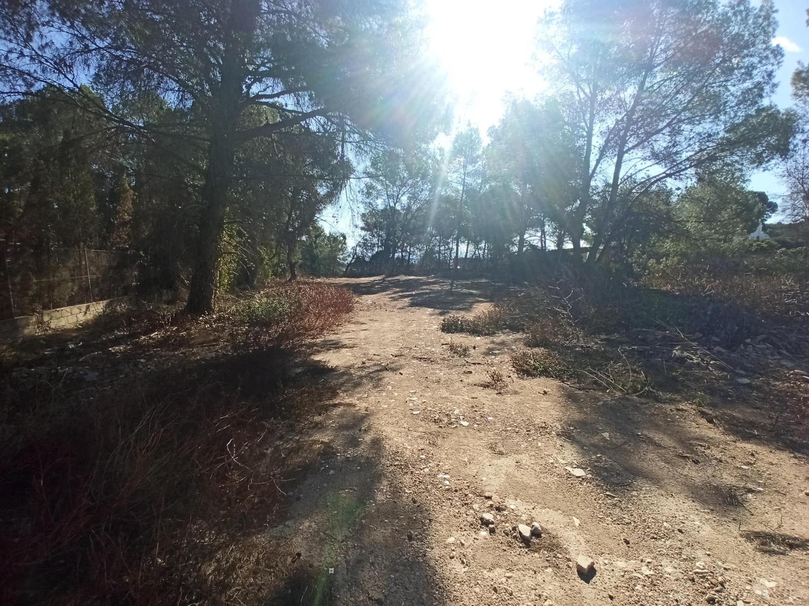 Byggetomt til salgs i Alberic - € 45 000 (Ref: 8206890)