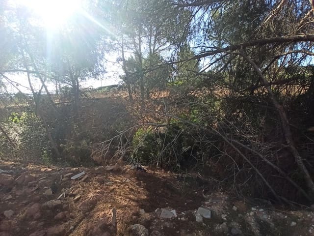 Solar/Parcela en Alberic en venta - 45.000 € (Ref: 8206890)