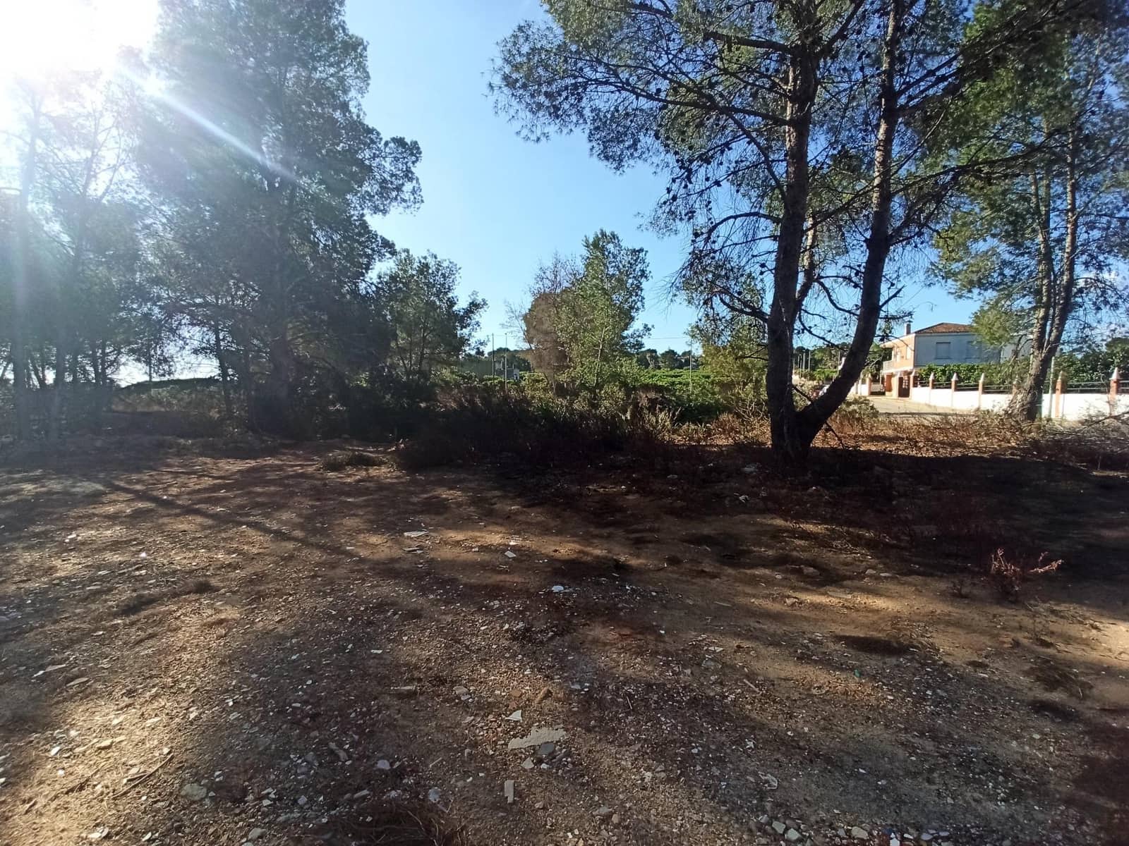 Byggetomt til salgs i Alberic - € 45 000 (Ref: 8206890)