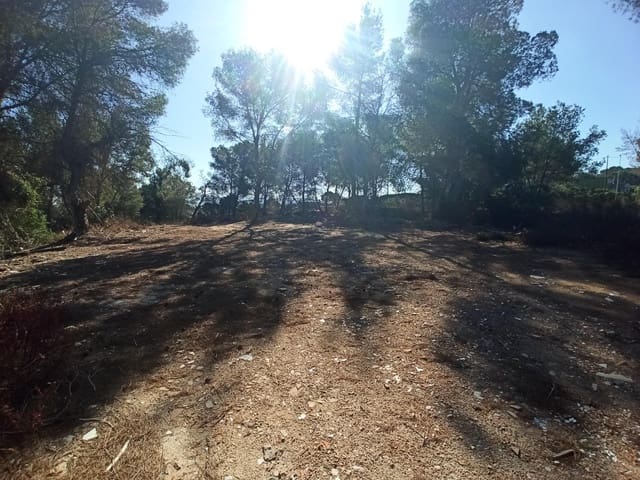 Solar/Parcela en Alberic en venta - 45.000 € (Ref: 8206890)