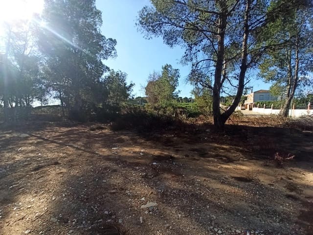 Solar/Parcela en Alberic en venta - 45.000 € (Ref: 8206890)