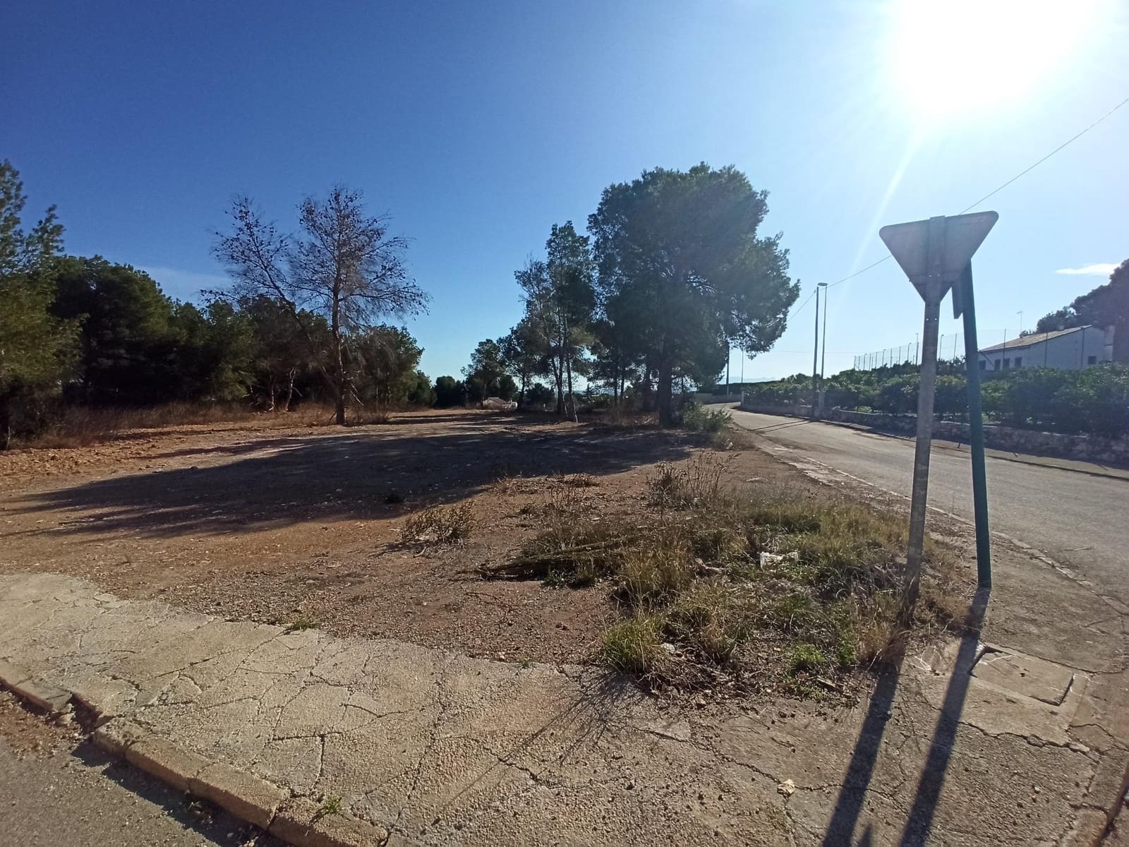 Byggegrund til salg i Alberic - € 55.000 (Ref: 8206891)