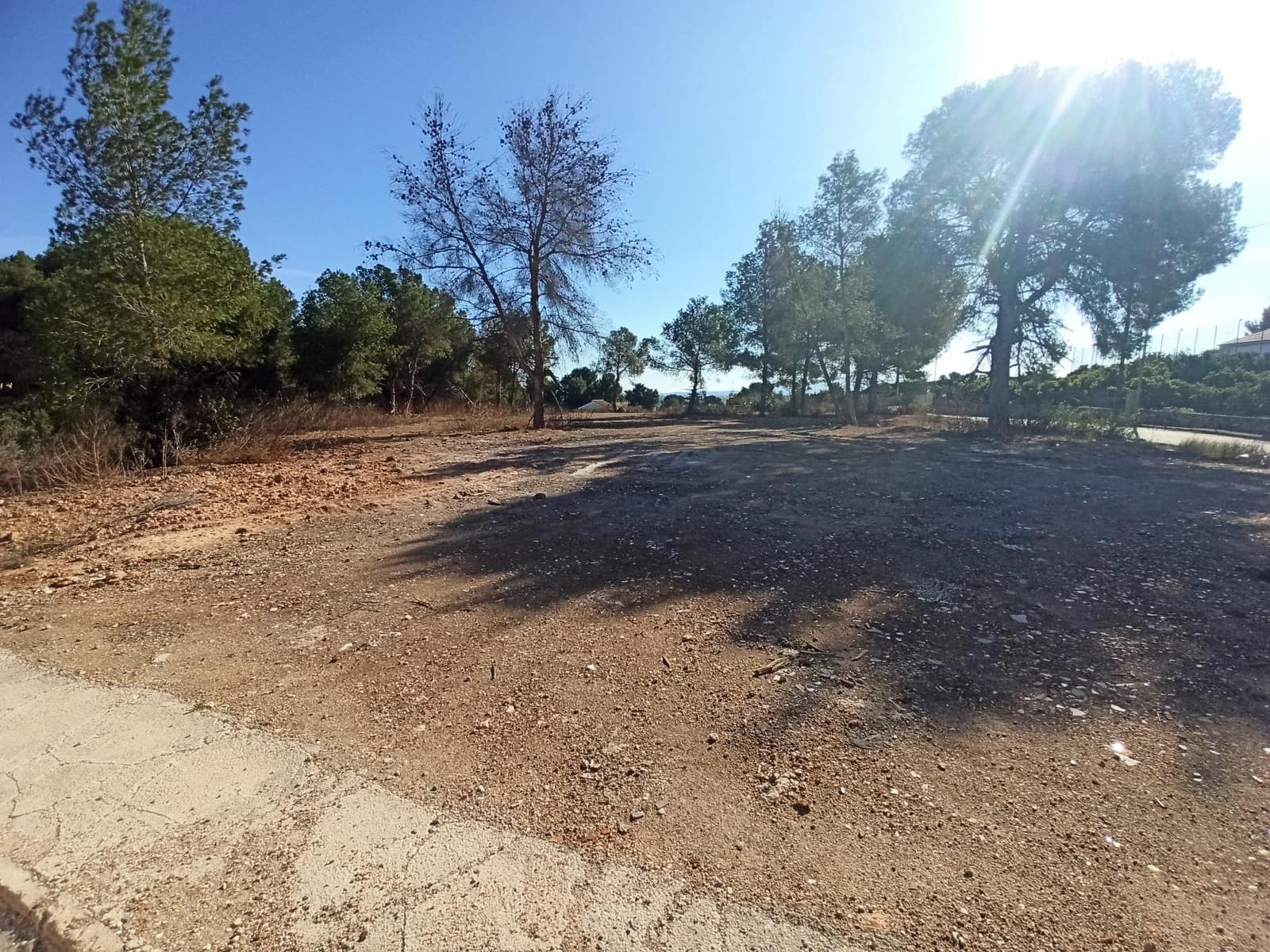 Byggegrund til salg i Alberic - € 55.000 (Ref: 8206891)