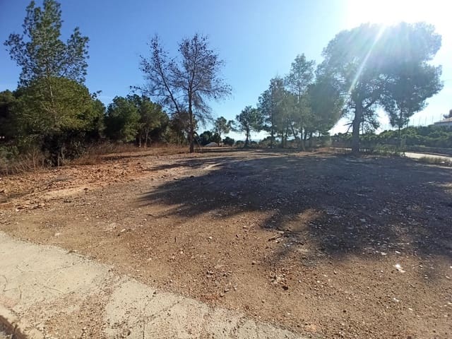 Byggegrund til salg i Alberic - € 55.000 (Ref: 8206891)