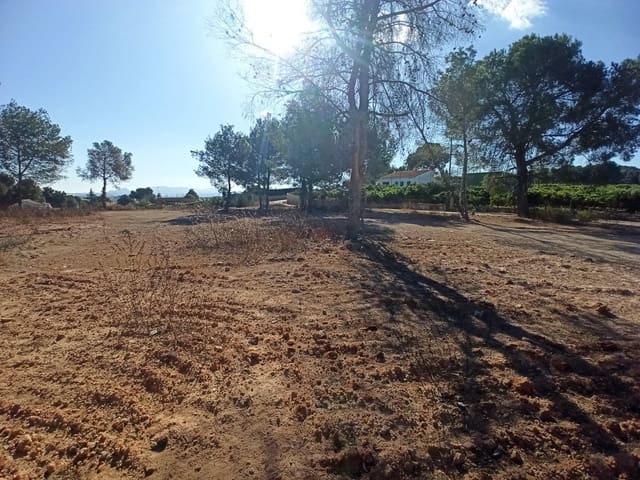 Byggegrund til salg i Alberic - € 55.000 (Ref: 8206891)