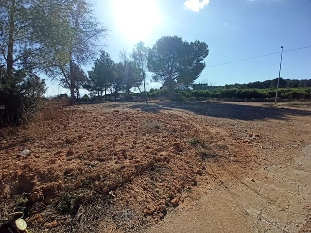 Byggegrund til salg i Alberic - € 55.000 (Ref: 8206891)