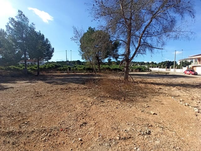 Byggegrund til salg i Alberic - € 55.000 (Ref: 8206891)