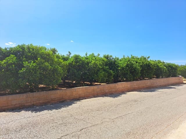 Undeveloped Land for sale in Carcaixent - € 13,000 (Ref: 8339973)