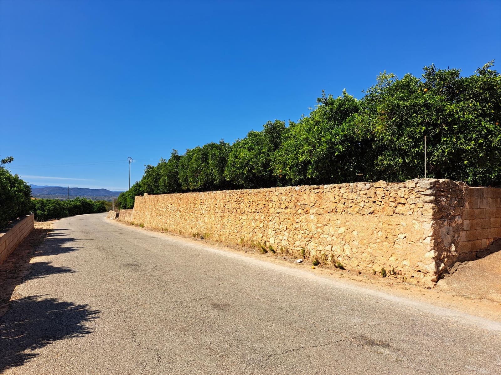 Grond te koop in Carcaixent - € 13.000 (Ref: 8339973)