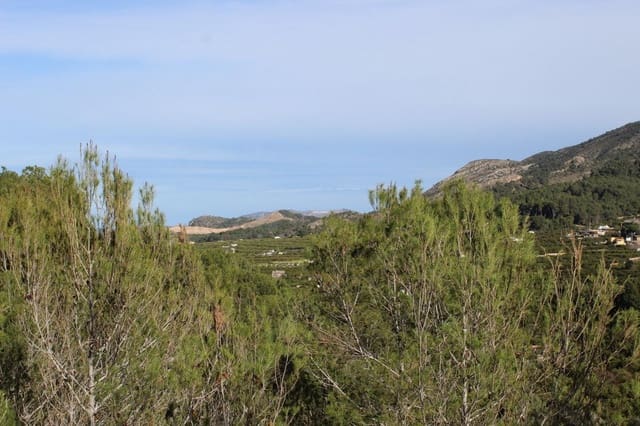 Building Plot for sale in Alzira - € 130,000 (Ref: 8382954)