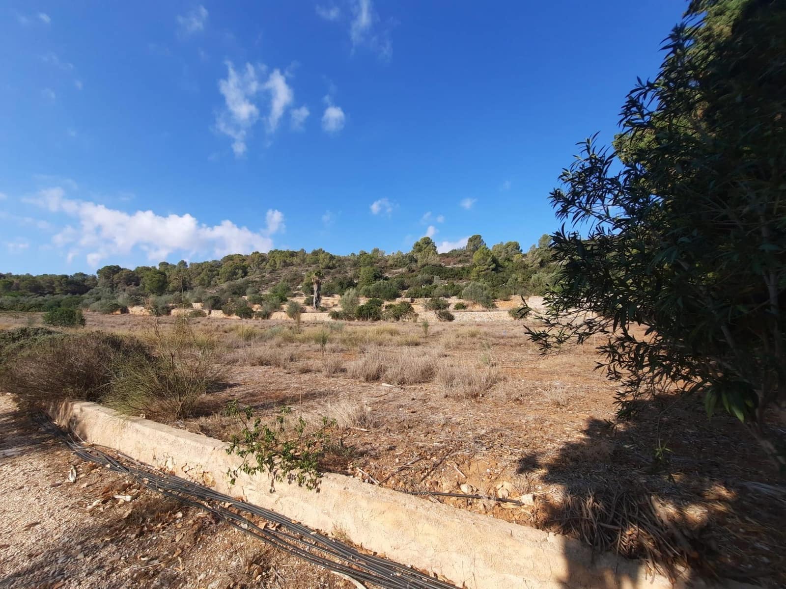 4 soverom Finca/Herregård til salgs i Alberic med svømmebasseng - € 620 000 (Ref: 8561638)