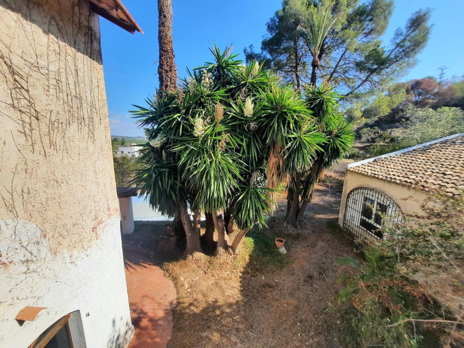 4 soverom Finca/Herregård til salgs i Alberic med svømmebasseng - € 620 000 (Ref: 8561638)