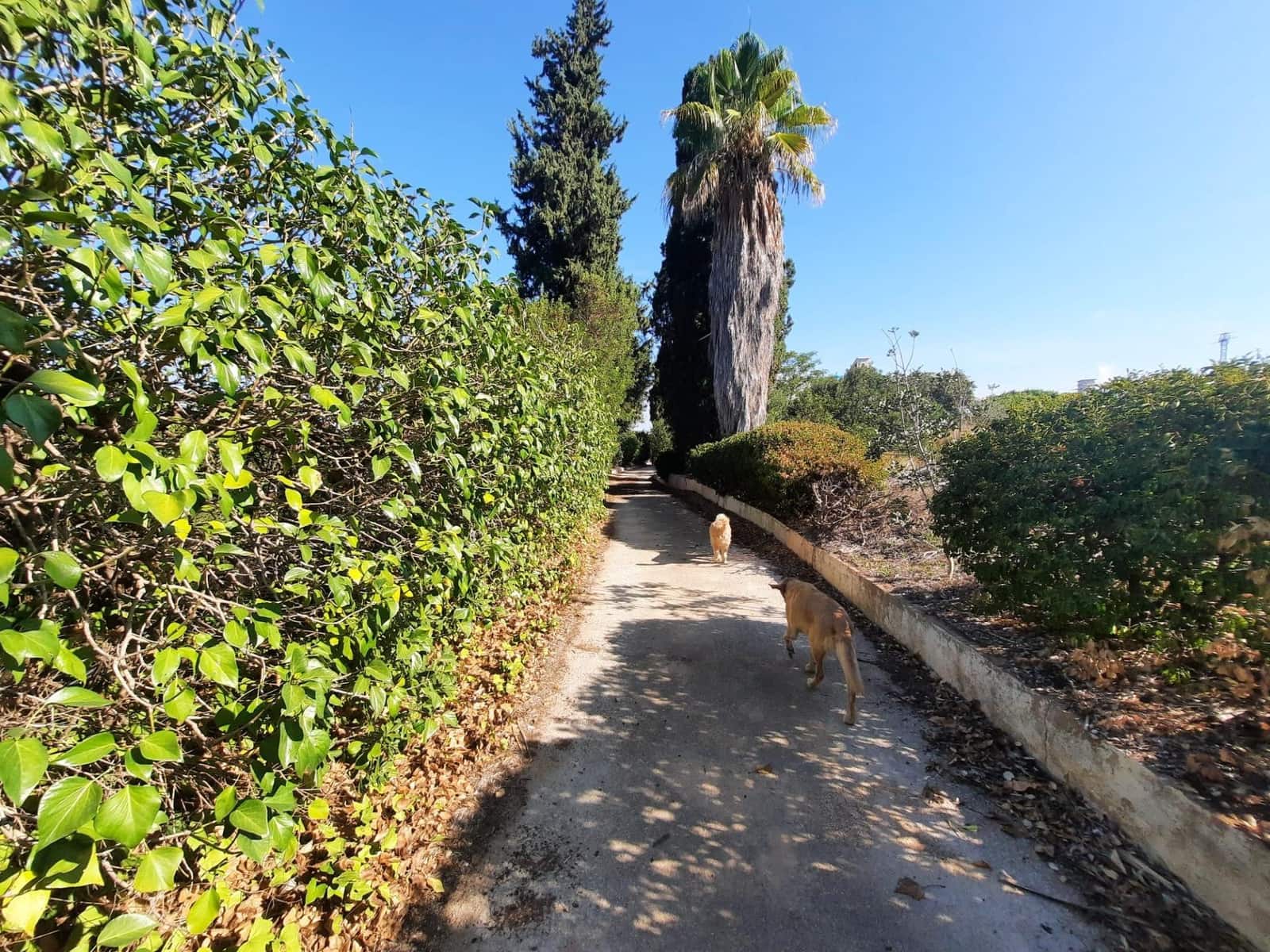 4 soverom Finca/Herregård til salgs i Alberic med svømmebasseng - € 620 000 (Ref: 8561638)