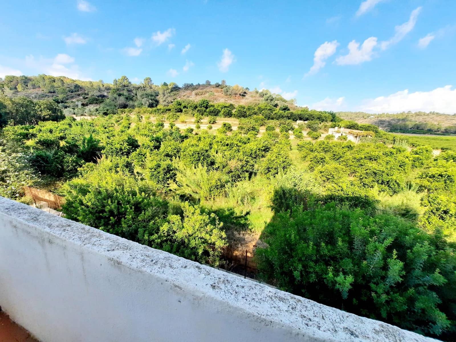 4 soverom Finca/Herregård til salgs i Alberic med svømmebasseng - € 620 000 (Ref: 8561638)