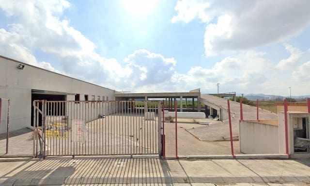 Azienda in vendita in Alzira con garage - 562.500 € (Rif: 8663205)