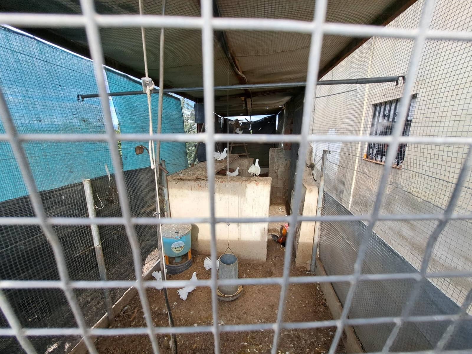 2 sypialnia Willa na sprzedaż w Benimuslem - 250 000 € (Ref: 8678223)