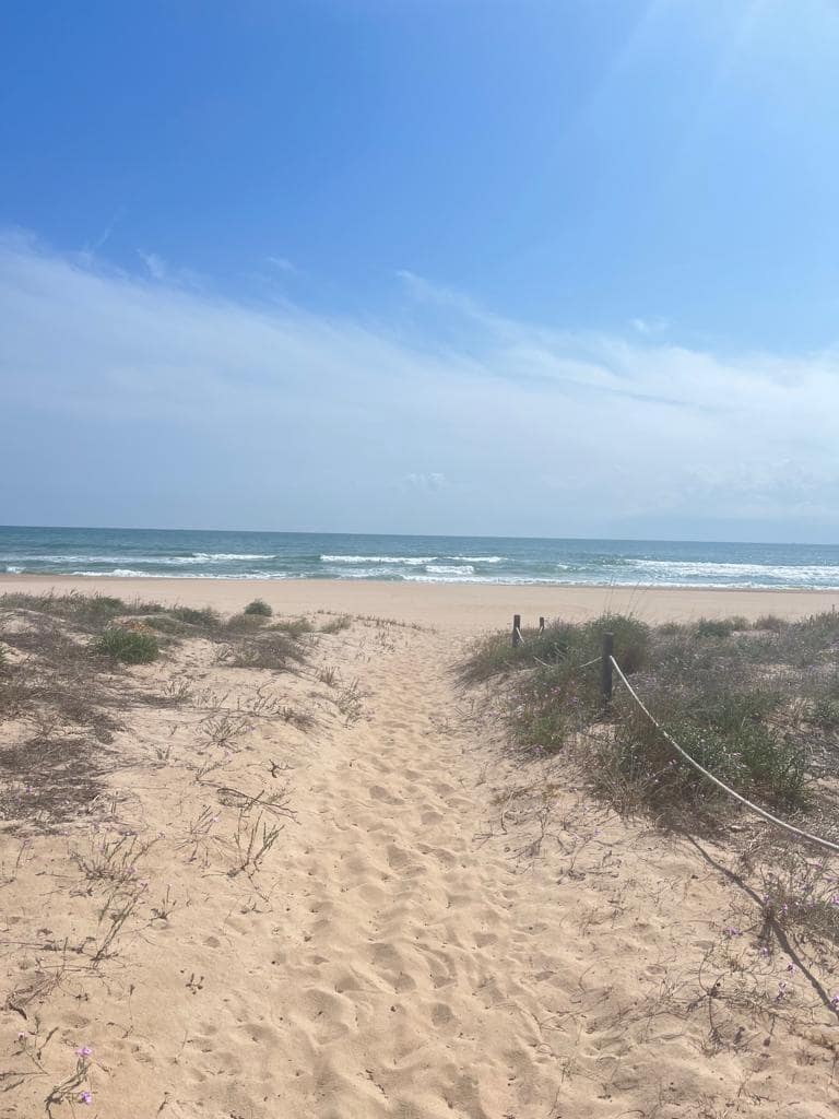 3 soveværelse Lejlighed til salg i Xeraco med swimmingpool garage - € 450.000 (Ref: 8806128)