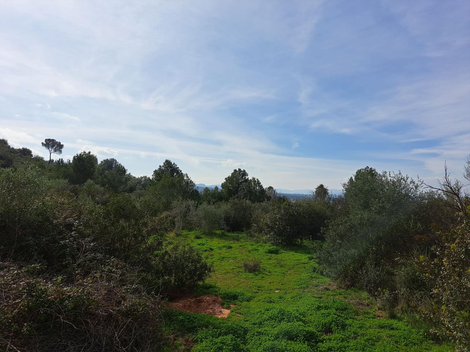 Grunde uden byggetilladelser til salg i Carcaixent - € 25.000 (Ref: 8810274)