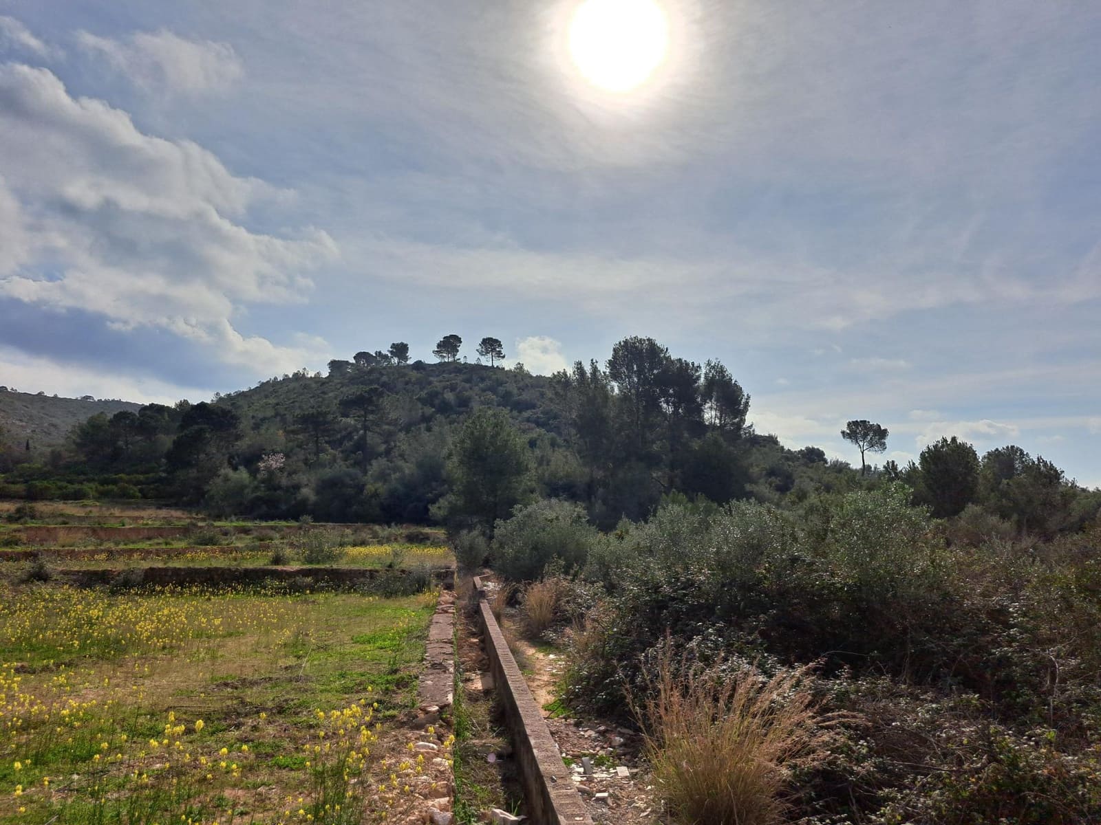 Grunde uden byggetilladelser til salg i Carcaixent - € 25.000 (Ref: 8810274)