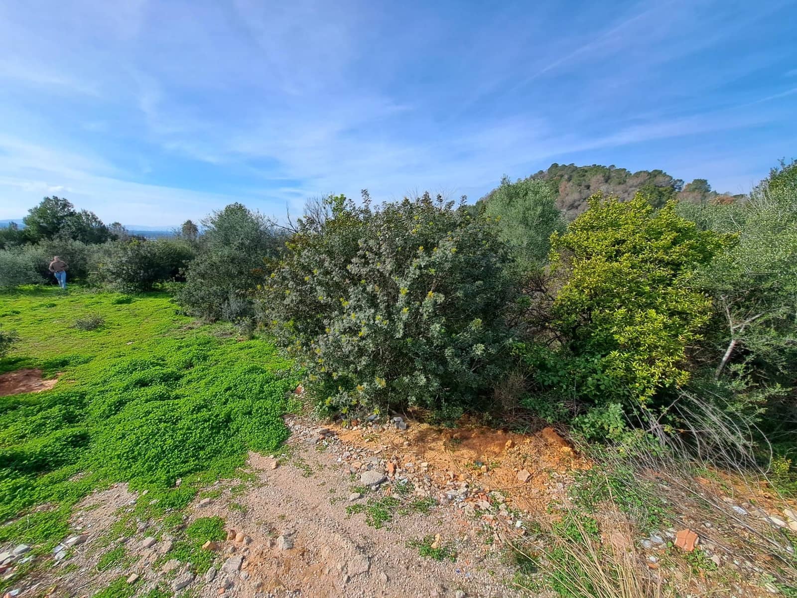 Grunde uden byggetilladelser til salg i Carcaixent - € 25.000 (Ref: 8810274)