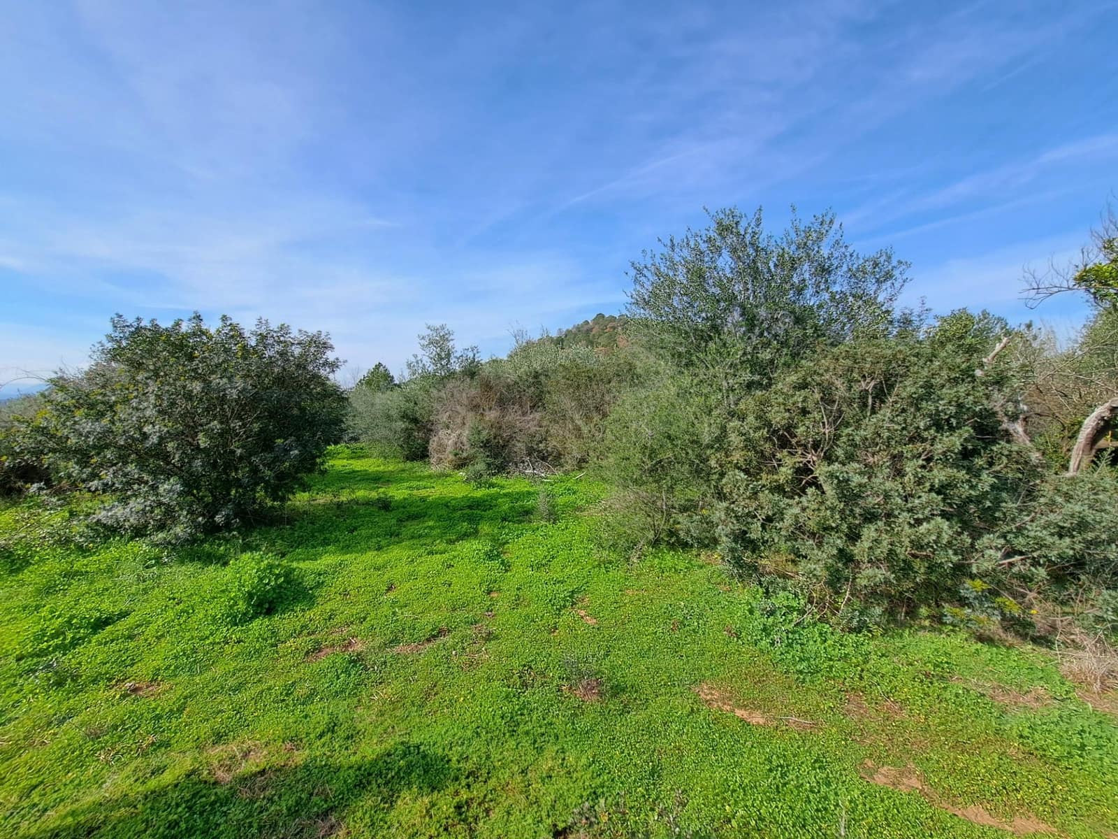 Grunde uden byggetilladelser til salg i Carcaixent - € 25.000 (Ref: 8810274)