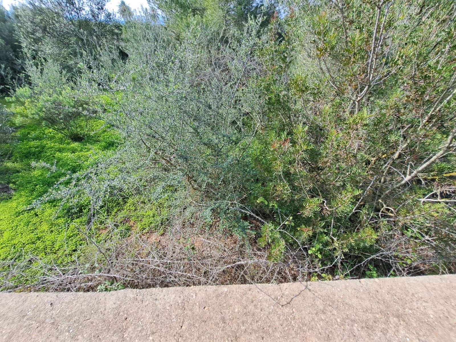 Grunde uden byggetilladelser til salg i Carcaixent - € 25.000 (Ref: 8810274)