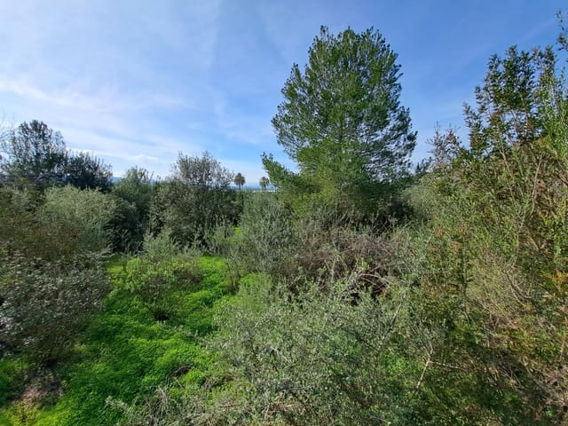 Grunde uden byggetilladelser til salg i Carcaixent - € 25.000 (Ref: 8810274)