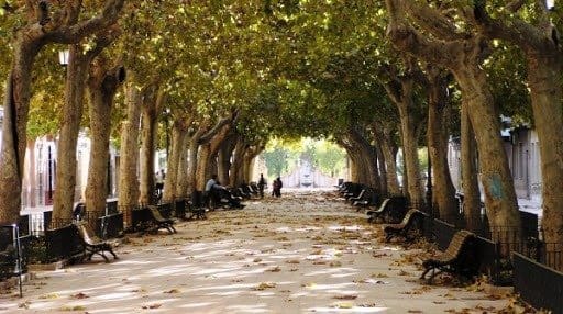 Komercyjne na sprzedaż w Carcaixent - 140 000 € (Ref: 8827418)