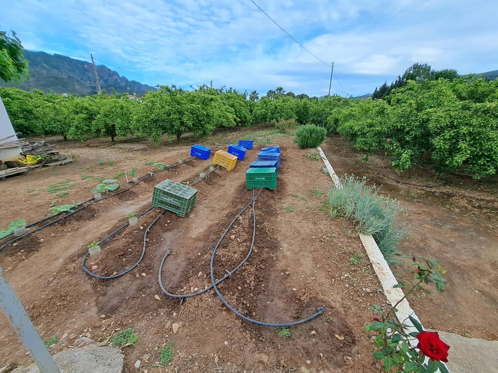 4 slaapkamer Villa te koop in Alzira met zwembad - € 185.000 (Ref: 8979075)