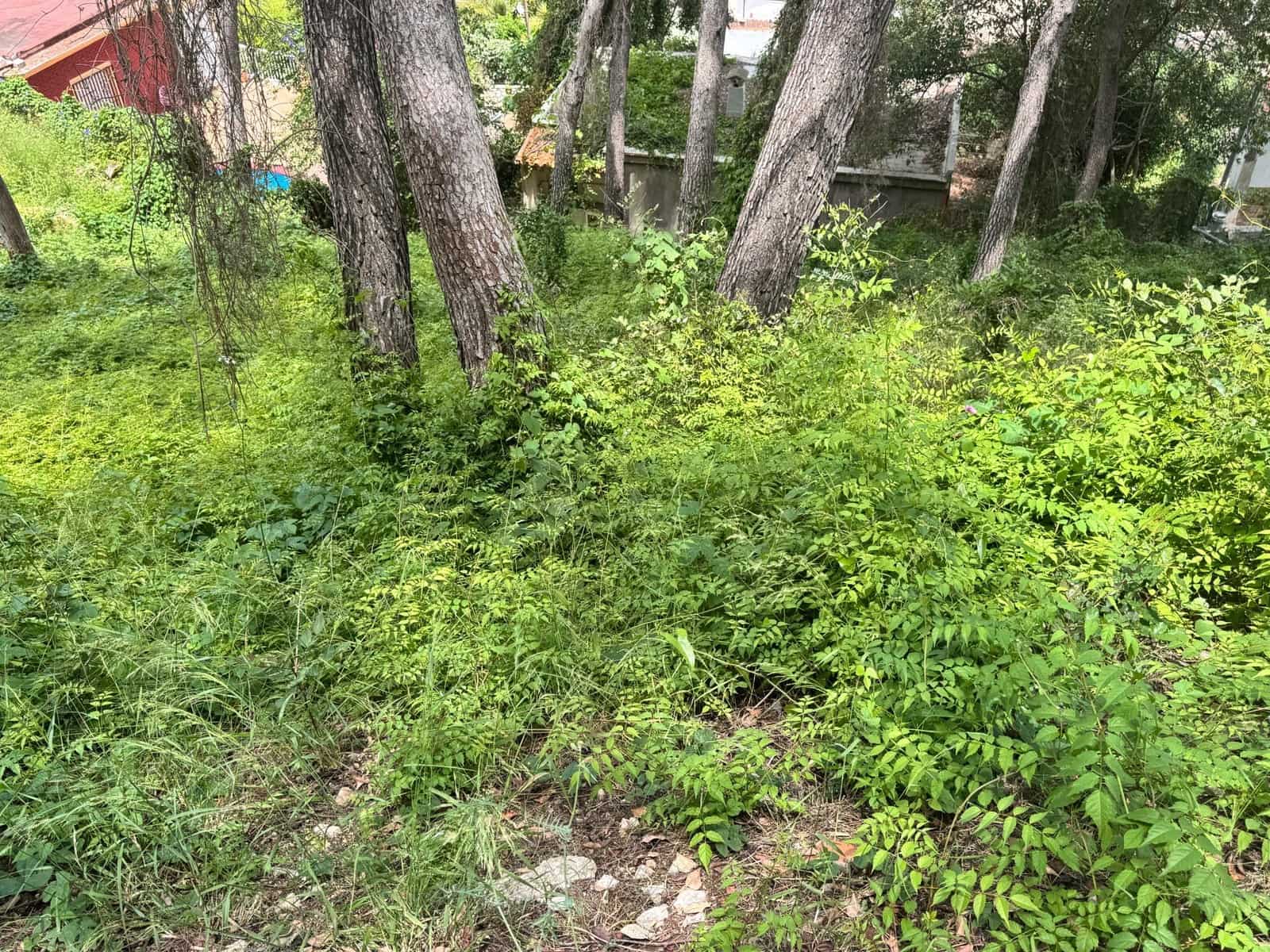 Byggegrund til salg i Carcaixent - € 45.000 (Ref: 9048706)