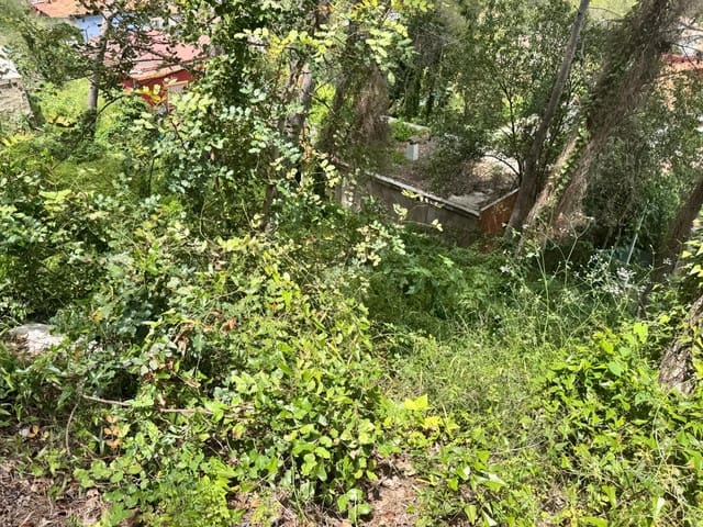 Tomt till salu i Carcaixent - 45 000 € (Ref: 9048706)