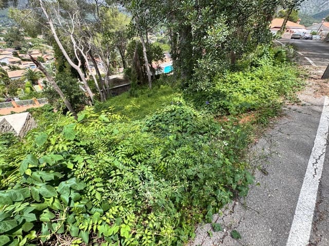 Tomt till salu i Carcaixent - 45 000 € (Ref: 9048706)