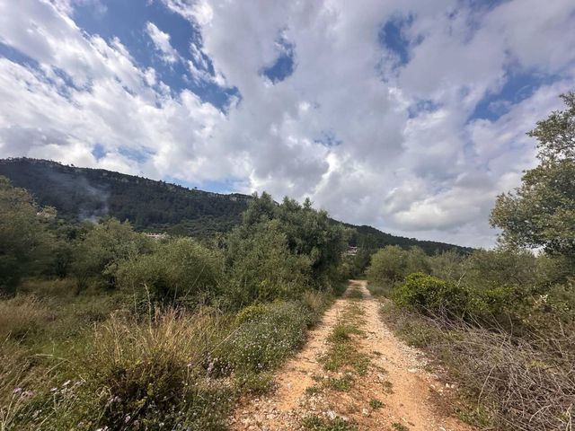 Ubebygd land til salgs i Alzira - € 25 000 (Ref: 9048707)