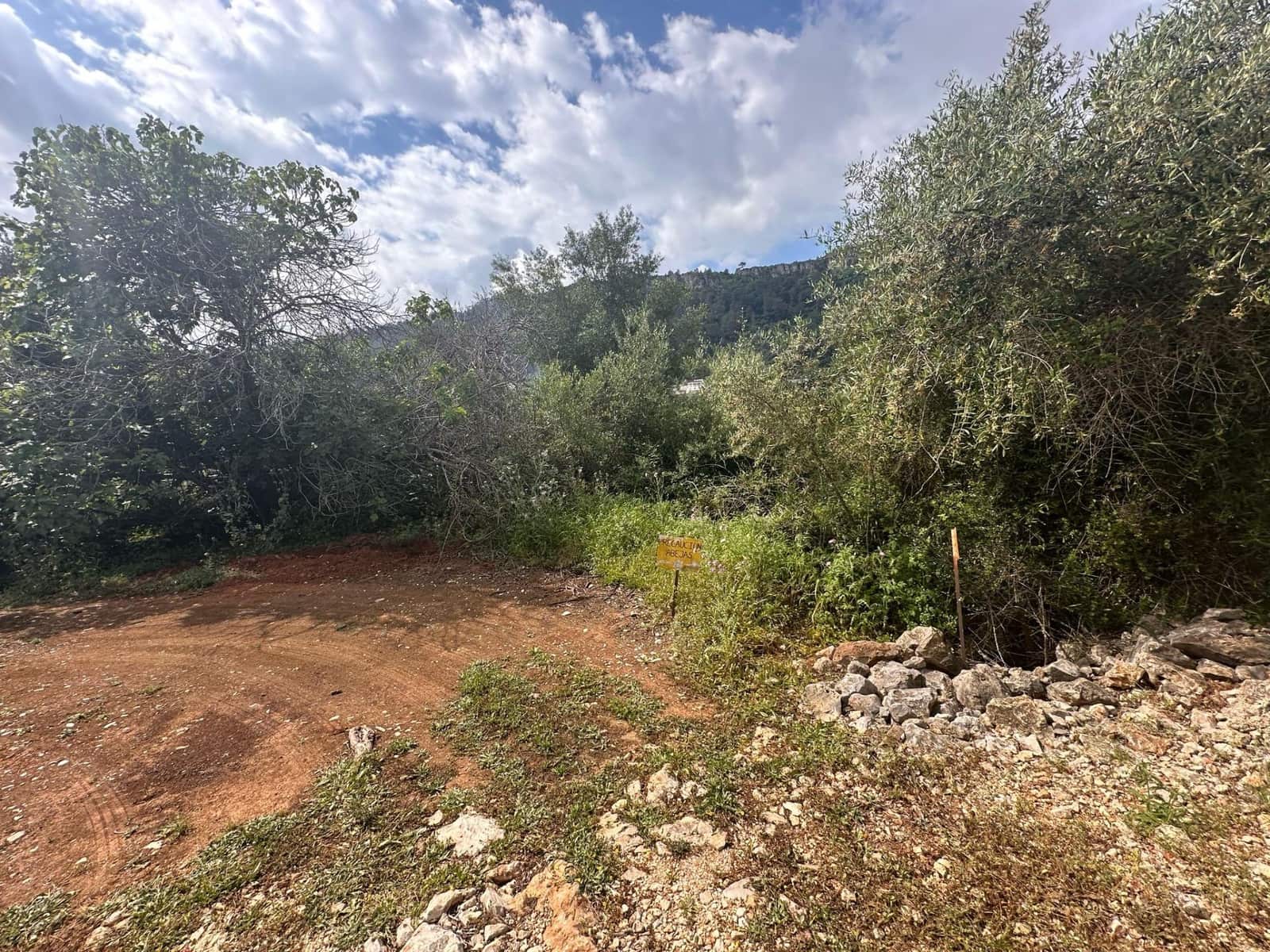 Ubebygd land til salgs i Alzira - € 25 000 (Ref: 9048707)