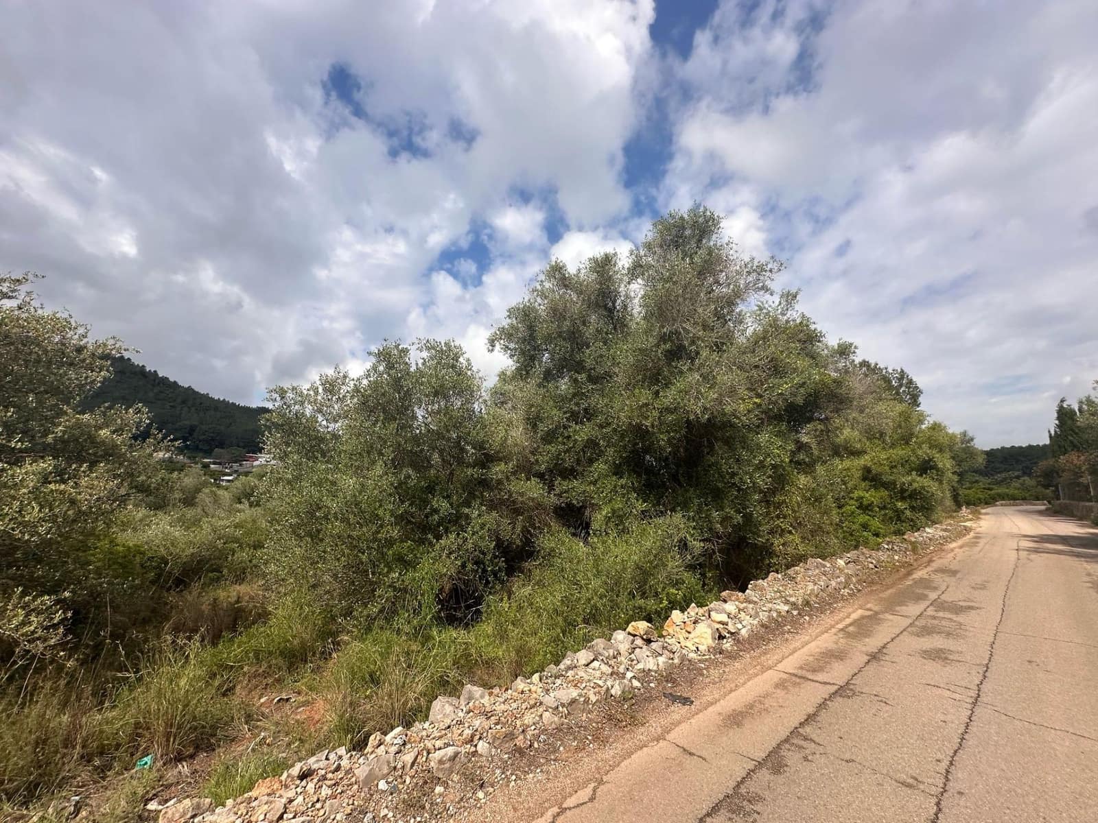 Ubebygd land til salgs i Alzira - € 25 000 (Ref: 9048707)