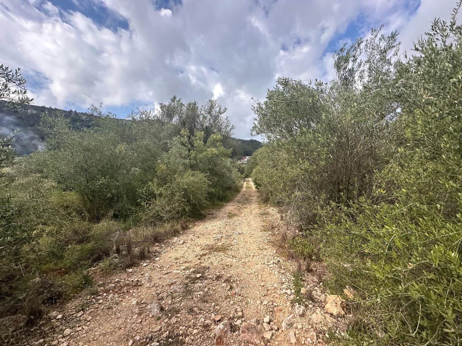 Ubebygd land til salgs i Alzira - € 25 000 (Ref: 9048707)